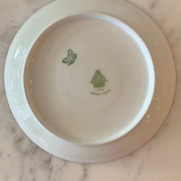 VINTAGE LIMOGES FRANCE L. R. L. TEACUP AND SAUCER W/ROSES & VIOLETS - Picture 8 of 11